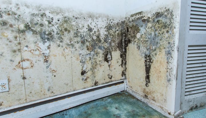 Mold-Damager-Odor-Control