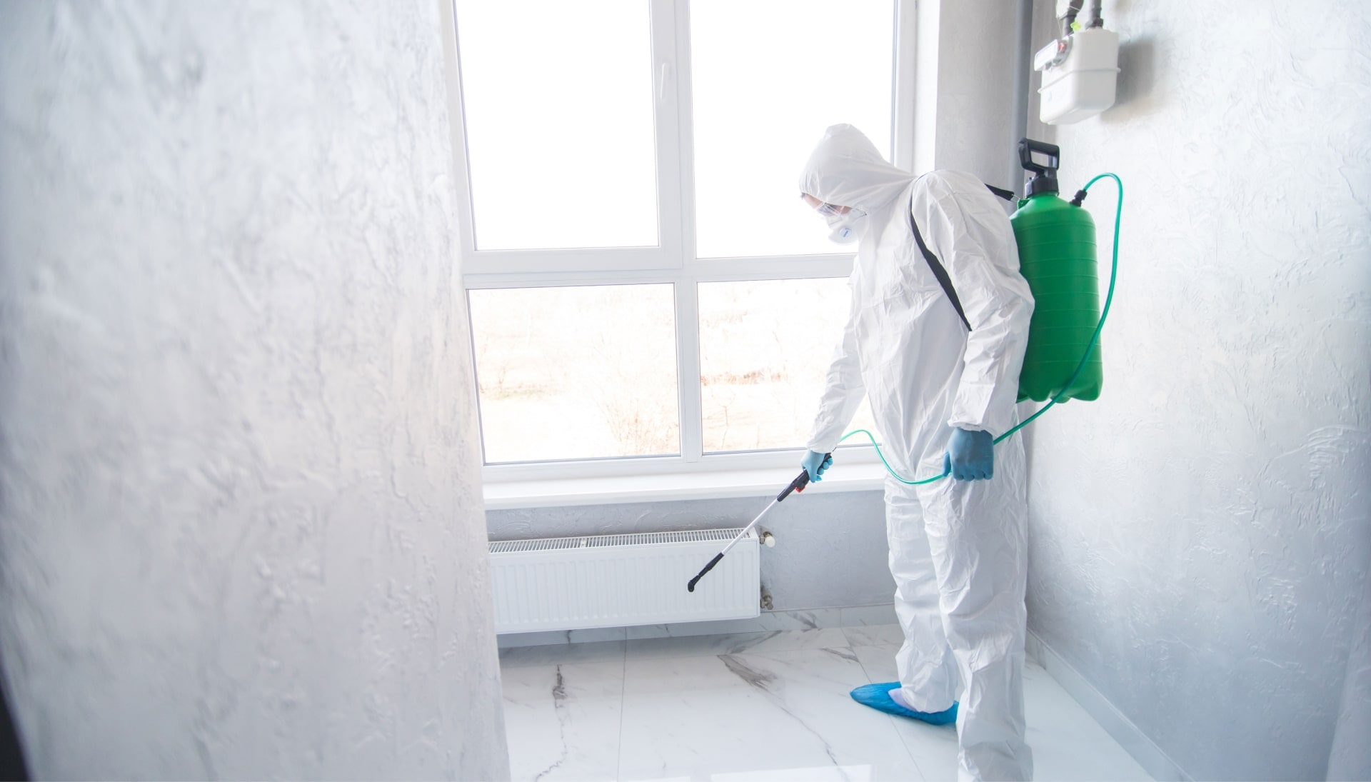 Mold-Inspection